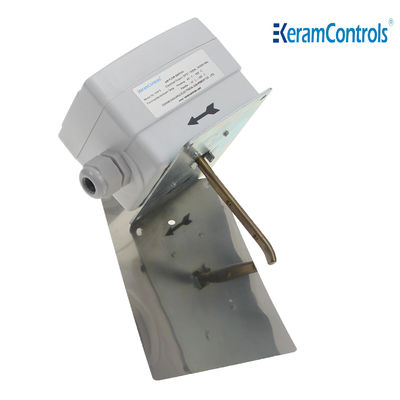 250V 8A IP65 공기 흐름 증명 스위치 스테인레스 스틸 패들