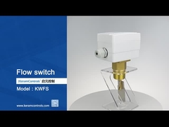 액체 흐름 측정 플로우 스위치 패들 센싱 요소와 함께 -20C-120C 온도 범위